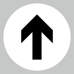 Direction floor graphic arrow only