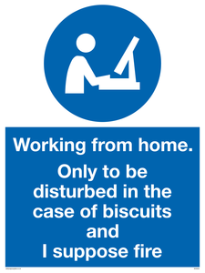 Working from home. Only to be disturbed in the case of biscuits and I suppose fire