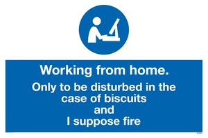 Working from home. Only to be disturbed in the case of biscuits and I suppose fire