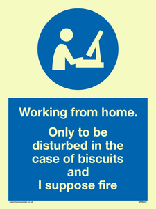 Working from home. Only to be disturbed in the case of biscuits and I suppose fire