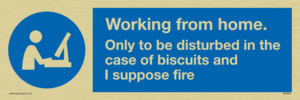 Working from home. Only to be disturbed in the case of biscuits and I suppose fire
