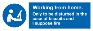 Working from home. Only to be disturbed in the case of biscuits and I suppose fire sign 