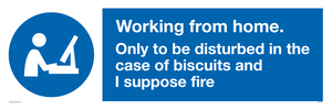 Working from home. Only to be disturbed in the case of biscuits and I suppose fire