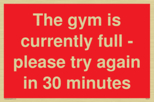 The gym is currently full - please try again in 30 minutes