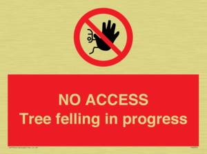 NO ACCESS Tree felling in progress