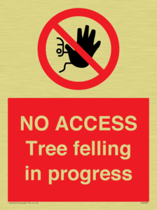 NO ACCESS Tree felling in progress