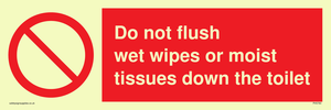 Do not flush wet wipes or moist tissues down the toilet