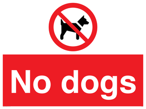No dogs