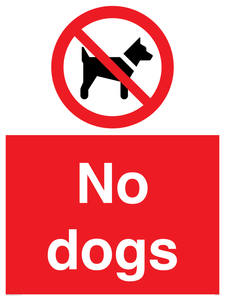 No dogs