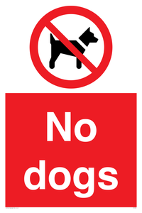 No dogs