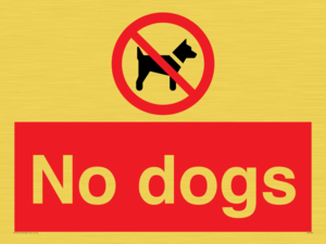 No dogs