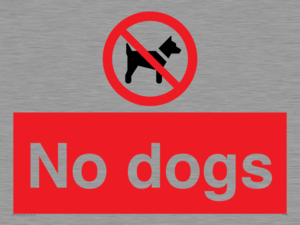 No dogs