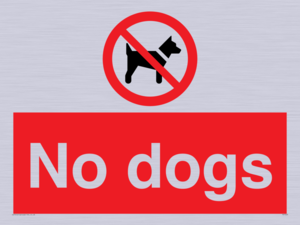 No dogs