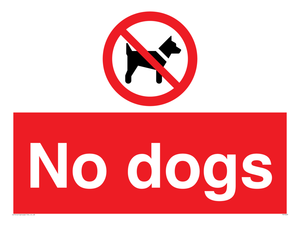 No dogs
