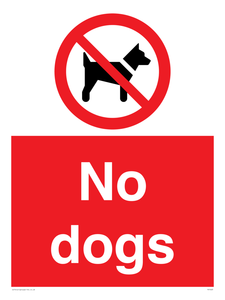 no dogs