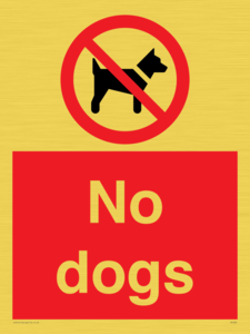 No dogs