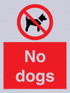 No dogs