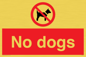 No dogs