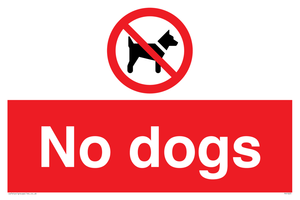 No dogs