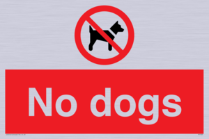 No dogs