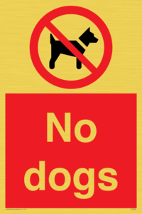 No dogs