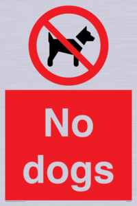 No dogs