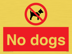 No dogs