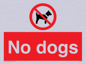 No dogs