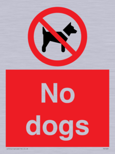 No dogs