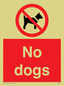 No dogs