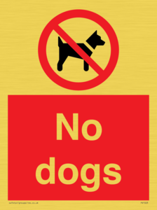 No dogs