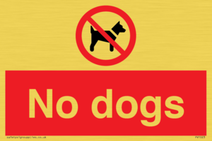 No dogs