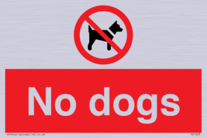 No dogs