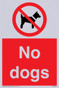 No dogs
