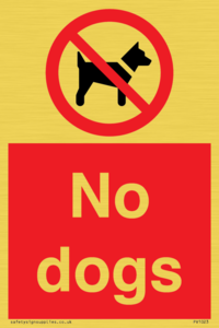 No dogs