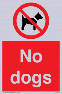 No dogs