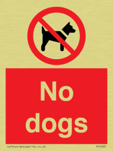 No dogs