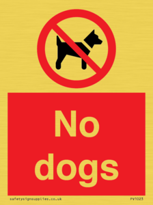 No dogs