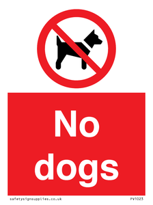 No dogs