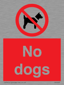 No dogs