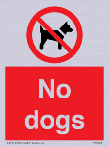 No dogs