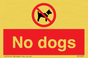 No dogs