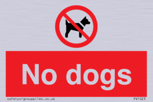 No dogs