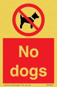 No dogs