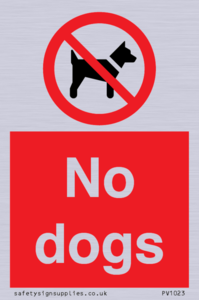 No dogs