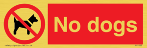 No dogs
