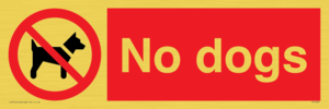No dogs