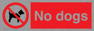 No dogs