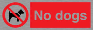 No dogs