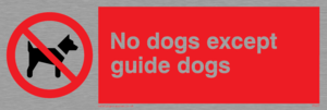 no dogs except guide dogs